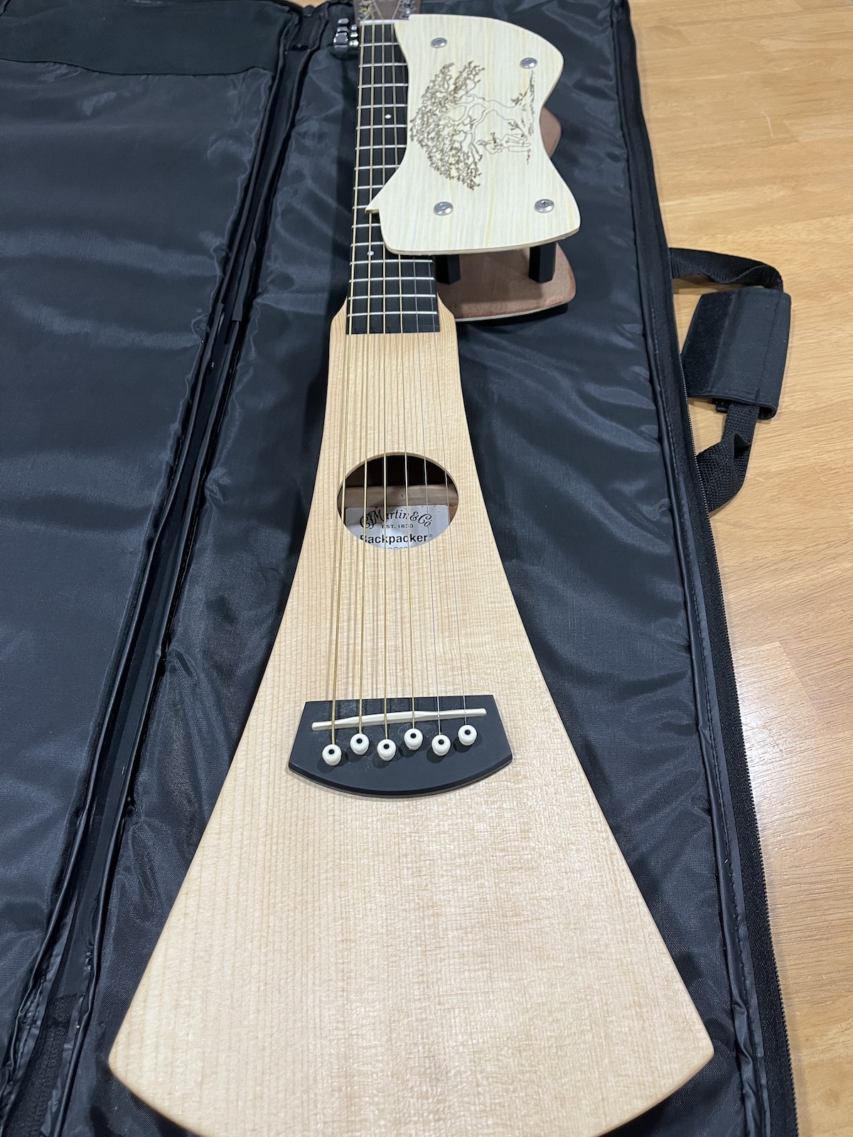 LapPacker and Martin Backpacker packed for travel